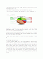 인도보고서 4페이지