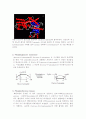 해당(glycolysis) 6페이지