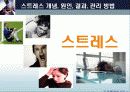 스트레스 개념, 원인, 결과, 관리 방법 1페이지