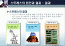 스트레스 개념, 원인, 결과, 관리 방법 13페이지