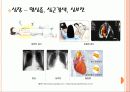 고혈압 7페이지