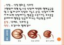 고혈압 8페이지
