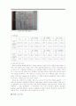 테브난 정리 · 노튼 정리_결과보고서 2페이지