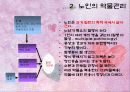 노인 안전  14페이지