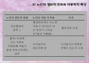 노인 안전  20페이지