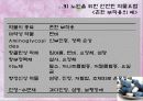 노인 안전  24페이지