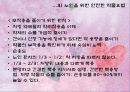 노인 안전  25페이지