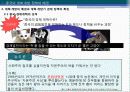 중국경제론 : 중국경제 개혁·개방 30년의 역사적 개괄 8페이지