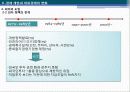 중국경제론 : 중국경제 개혁·개방 30년의 역사적 개괄 56페이지