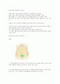 아토피의 서양의학적 치료 7페이지