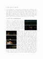 영화 조디악(Zodiac)을 보고 6페이지