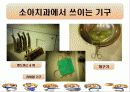 (치위생과) 소아치과 방문 보고서 - 목동 연세주니어치과 17페이지