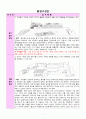 7월, 만3세, 생활주제는 여름, 월간 계획안, 주간 계획안, 환경구성안 1페이지