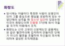 신라 화랑도의 화랑들 특성 6페이지