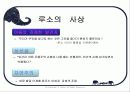 루소 사상, 교육목적, 교육방법, 철학 2페이지