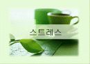 스트레스 - 정신건강론 1페이지