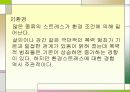 스트레스 - 정신건강론 7페이지