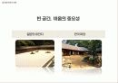 제 8장-4,  5 - 글로벌문화의 이해 9페이지
