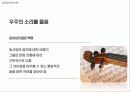 제 8장-4,  5 - 글로벌문화의 이해 13페이지