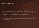 IT 아웃소싱 적용 사례 조사분석  17페이지