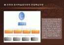 IT 아웃소싱 적용 사례 조사분석  20페이지