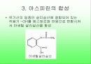 아스피린합성 4페이지