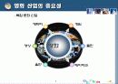영화산업의 유통현황과 유통관리 전략(현황, 유통, 구조, 체계, 발달과정, SWOT, 경영, 마케팅, 분석) 8페이지