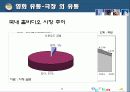 영화산업의 유통현황과 유통관리 전략(현황, 유통, 구조, 체계, 발달과정, SWOT, 경영, 마케팅, 분석) 30페이지