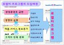 로열티 프로그램 강점, 약점, 사례 및 문제점, 극복 방안 3페이지