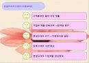 로열티 프로그램 강점, 약점, 사례 및 문제점, 극복 방안 4페이지
