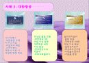 로열티 프로그램 강점, 약점, 사례 및 문제점, 극복 방안 11페이지