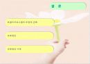 로열티 프로그램 강점, 약점, 사례 및 문제점, 극복 방안 13페이지