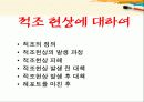 적조현상 5장 1페이지