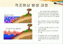 적조현상 5장 3페이지