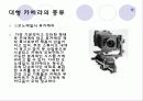 보도사진론-카메라의종류 9페이지