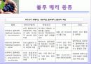 블루 베리 (blueberry) 8페이지