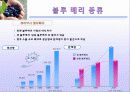블루 베리 (blueberry) 9페이지