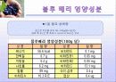 블루 베리 (blueberry) 11페이지