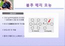 블루 베리 (blueberry) 14페이지