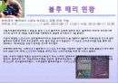 블루 베리 (blueberry) 16페이지