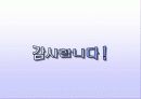 블루 베리 (blueberry) 18페이지