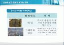 통계의 미학 2장 아파트 : 아파트 값에 얽힌 패러독스 - 세분화 30페이지