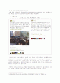 SNS를 통한 선거의 영향 및 10.26 서울시장 보궐선거에 미친영향 조사분석 7페이지