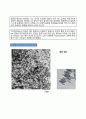 화장품 바로알기(TiO2) 7페이지