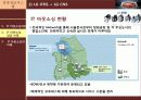 IT아웃소싱의 개념과 특징,사례,현황,문제점,나아갈방향,해결점 조사분석 14페이지