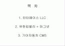 정보시스템을 통해 협업한 사례 조사분석(인터페이스 LLC,유한킴벌리와 마그넷,기아자동차 CMS 2페이지