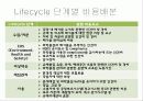 정보시스템을 통해 협업한 사례 조사분석(인터페이스 LLC,유한킴벌리와 마그넷,기아자동차 CMS 12페이지