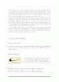 나이키(Nike) 마케팅전략분석/기업소개/스포츠의류현황/산업구조분석/4P/PLC/SWOT/STP전략/경쟁브랜드관계분석 - 산업구조 분석, 환경 분석, 브랜드 관계 분석 7페이지