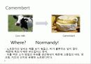 [프랑스문화] 프랑스 치즈 문화 - 국내외 치즈에 대한 관심과 프랑스의 대표적 치즈 등 15페이지