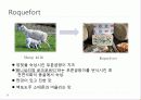 [프랑스문화] 프랑스 치즈 문화 - 국내외 치즈에 대한 관심과 프랑스의 대표적 치즈 등 25페이지